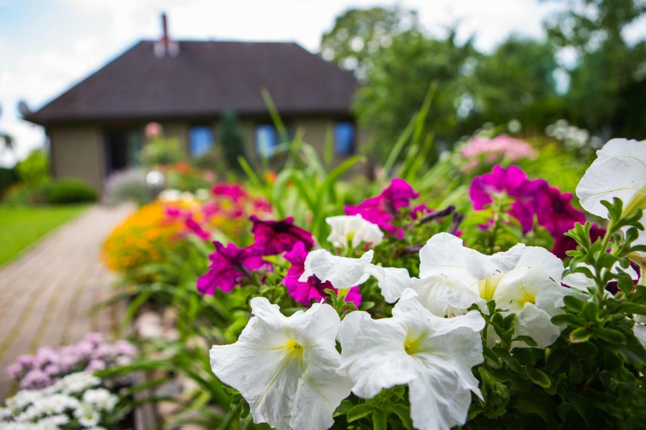 Guests House "Like Home" Sigulda Kültér fotó